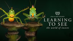 Learning to See - The World of Insects